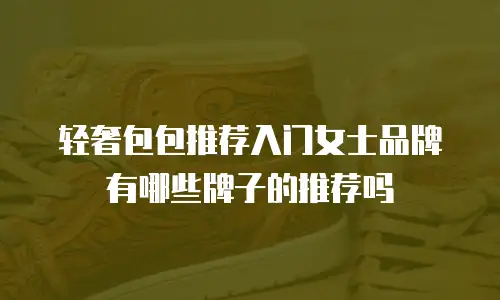 轻奢包包推荐入门女士品牌有哪些牌子的推荐吗