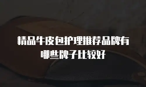 精品牛皮包护理推荐品牌有哪些牌子比较好