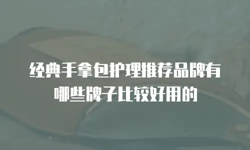 经典手拿包护理推荐品牌有哪些牌子比较好用的