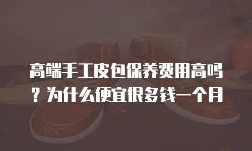 高端手工皮包保养费用高吗？为什么便宜很多钱一个月