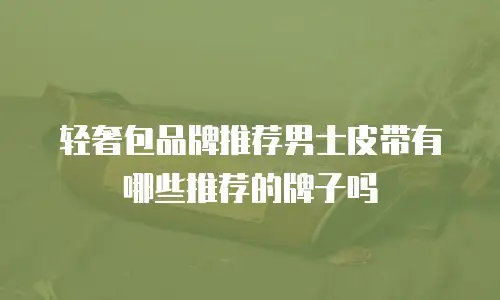 轻奢包品牌推荐男士皮带有哪些推荐的牌子吗