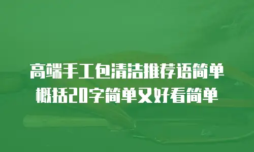高端手工包清洁推荐语简单概括20字简单又好看简单