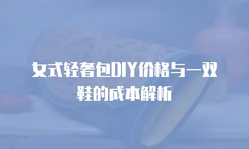 女式轻奢包DIY价格与一双鞋的成本解析