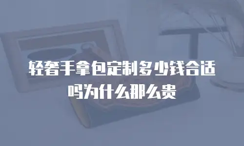 轻奢手拿包定制多少钱合适吗为什么那么贵