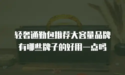 轻奢通勤包推荐大容量品牌有哪些牌子的好用一点吗