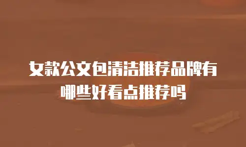 女款公文包清洁推荐品牌有哪些好看点推荐吗