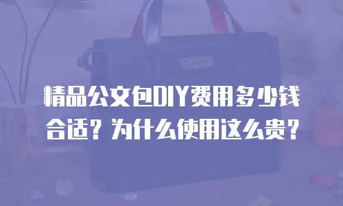 精品公文包DIY费用多少钱合适？为什么使用这么贵？