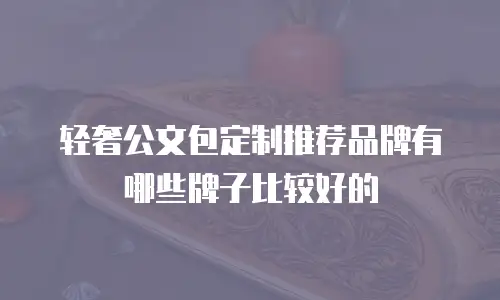 轻奢公文包定制推荐品牌有哪些牌子比较好的