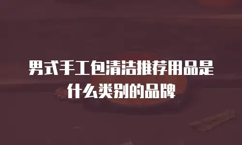 男式手工包清洁推荐用品是什么类别的品牌
