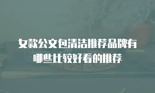 女款公文包清洁推荐品牌有哪些比较好看的推荐