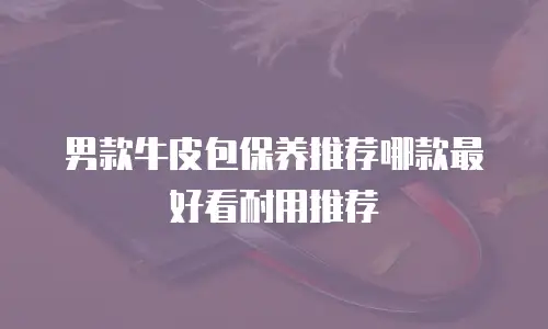男款牛皮包保养推荐哪款最好看耐用推荐