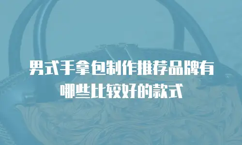 男式手拿包制作推荐品牌有哪些比较好的款式