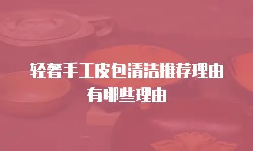 轻奢手工皮包清洁推荐理由有哪些理由