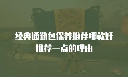 经典通勤包保养推荐哪款好推荐一点的理由