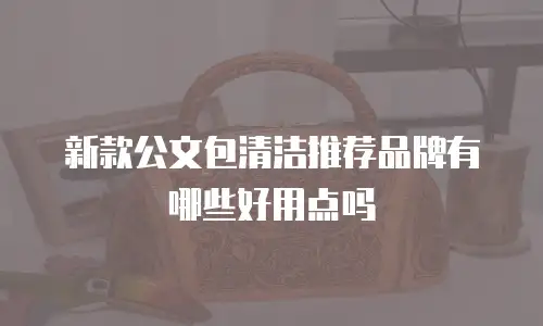 新款公文包清洁推荐品牌有哪些好用点吗