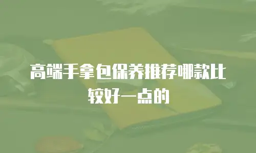 高端手拿包保养推荐哪款比较好一点的