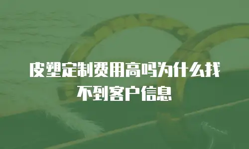 皮塑定制费用高吗为什么找不到客户信息