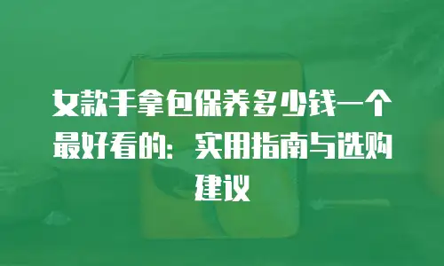 女款手拿包保养多少钱一个最好看的：实用指南与选购建议
