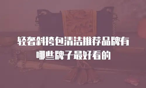 轻奢斜挎包清洁推荐品牌有哪些牌子最好看的