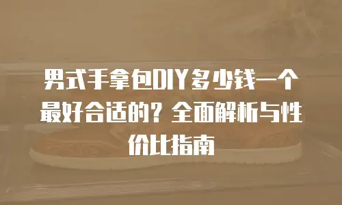 男式手拿包DIY多少钱一个最好合适的？全面解析与性价比指南