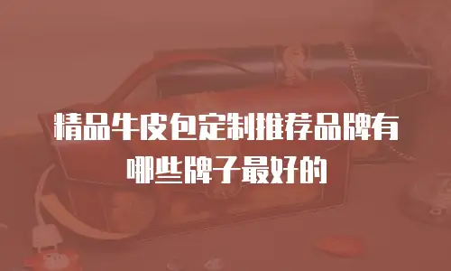 精品牛皮包定制推荐品牌有哪些牌子最好的