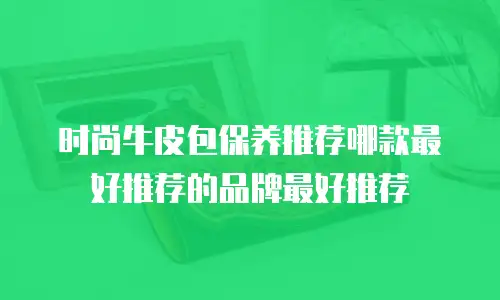 时尚牛皮包保养推荐哪款最好推荐的品牌最好推荐