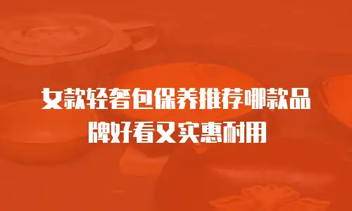 女款轻奢包保养推荐哪款品牌好看又实惠耐用