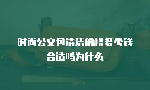 时尚公文包清洁价格多少钱合适吗为什么