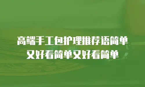 高端手工包护理推荐语简单又好看简单又好看简单