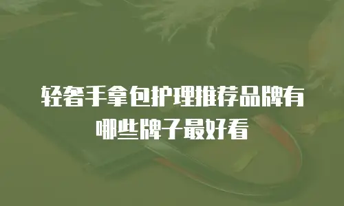 轻奢手拿包护理推荐品牌有哪些牌子最好看
