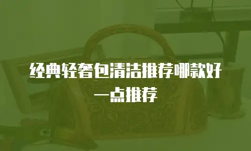 经典轻奢包清洁推荐哪款好一点推荐