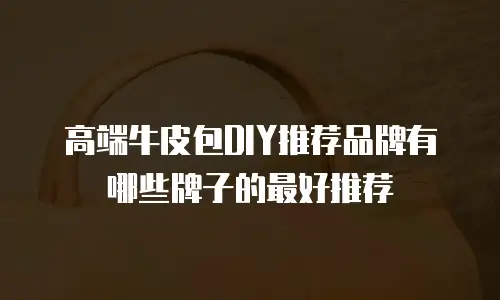 高端牛皮包DIY推荐品牌有哪些牌子的最好推荐