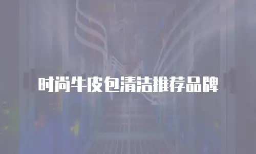 时尚牛皮包清洁推荐品牌