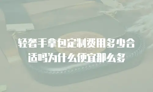 轻奢手拿包定制费用多少合适吗为什么便宜那么多