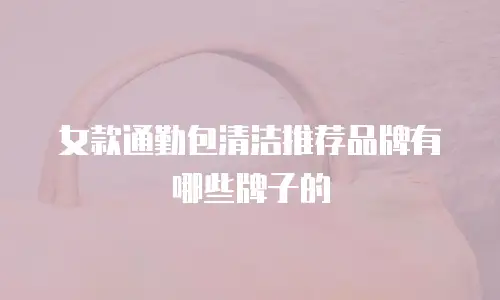 女款通勤包清洁推荐品牌有哪些牌子的