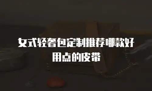 女式轻奢包定制推荐哪款好用点的皮带