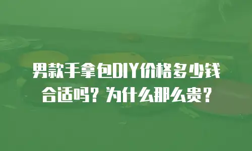 男款手拿包DIY价格多少钱合适吗？为什么那么贵？