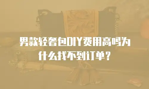 男款轻奢包DIY费用高吗为什么找不到订单？