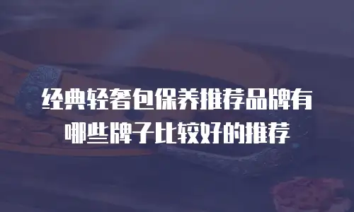经典轻奢包保养推荐品牌有哪些牌子比较好的推荐