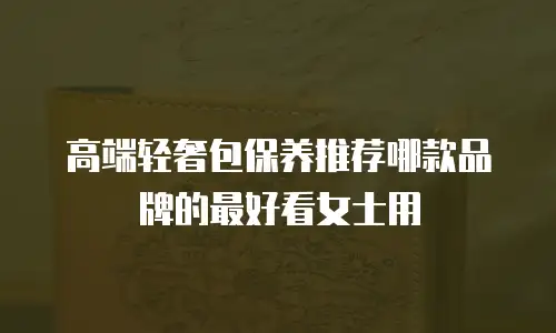 高端轻奢包保养推荐哪款品牌的最好看女士用