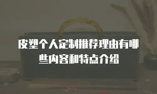 皮塑个人定制推荐理由有哪些内容和特点介绍