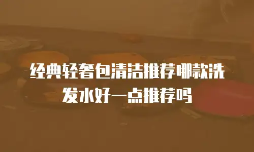 经典轻奢包清洁推荐哪款洗发水好一点推荐吗