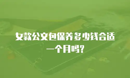 女款公文包保养多少钱合适一个月吗？