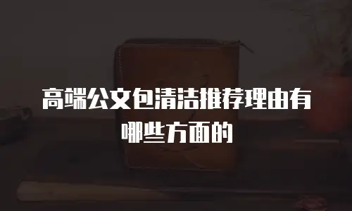 高端公文包清洁推荐理由有哪些方面的