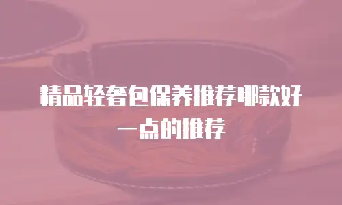 精品轻奢包保养推荐哪款好一点的推荐