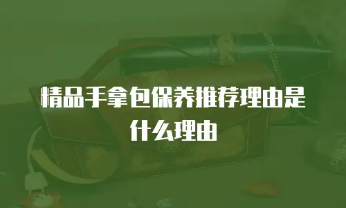 精品手拿包保养推荐理由是什么理由