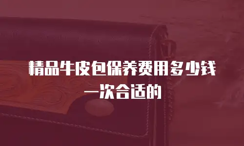 精品牛皮包保养费用多少钱一次合适的