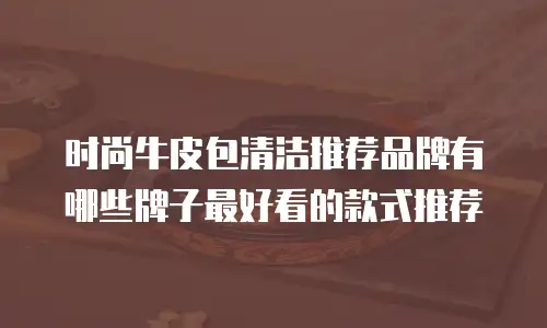 时尚牛皮包清洁推荐品牌有哪些牌子最好看的款式推荐