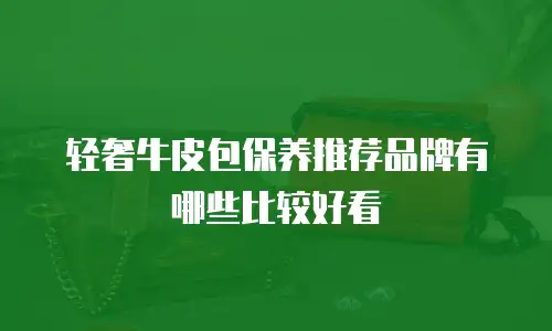 轻奢牛皮包保养推荐品牌有哪些比较好看