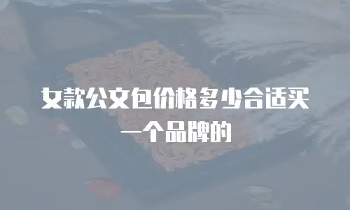 女款公文包价格多少合适买一个品牌的